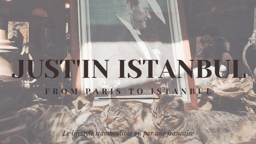 La mentalité turque 🇹🇷✨️